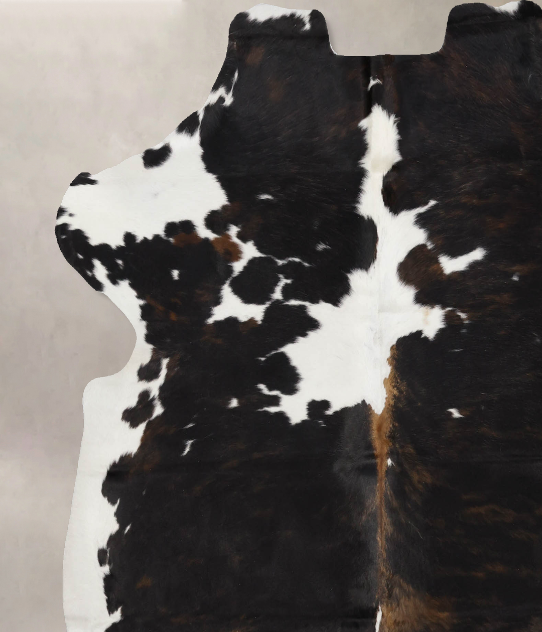 Tricolor X-Large European Cowhide Rug 6'10"H x 6'2"W #B12344 by Hudson