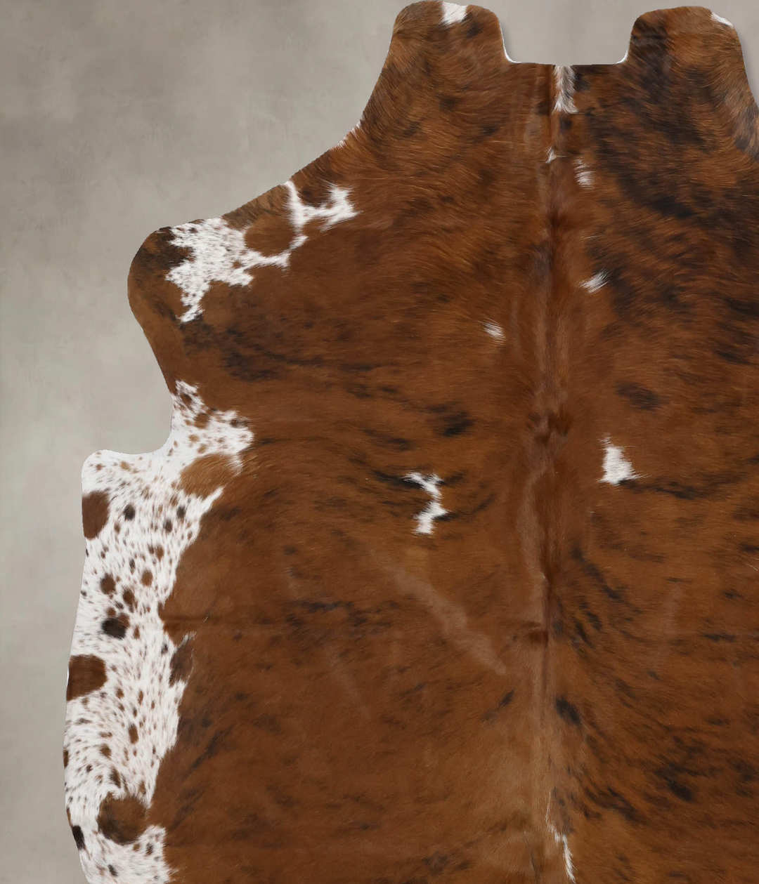 Tricolor X-Large European Cowhide Rug 7'0"H x 5'11"W #B12345 by Hudson