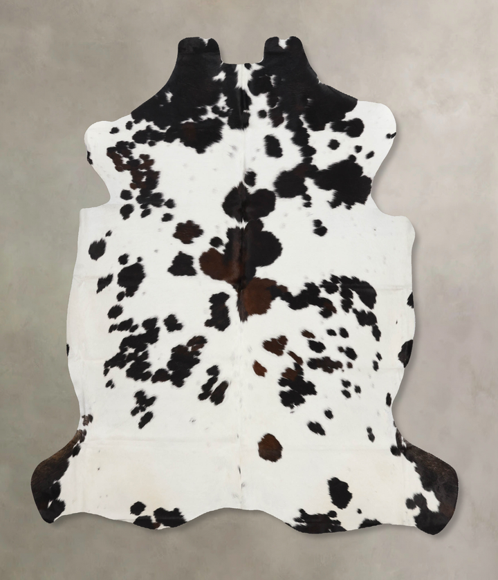 Tricolor X-Large European Cowhide Rug 6'8"H x 6'2"W #B12349 by Hudson Hides