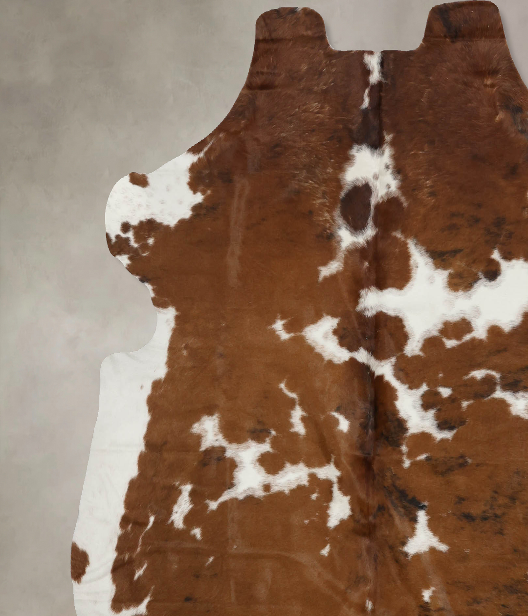 Tricolor X-Large European Cowhide Rug 6'8"H x 6'4"W #B12361 by Hudson