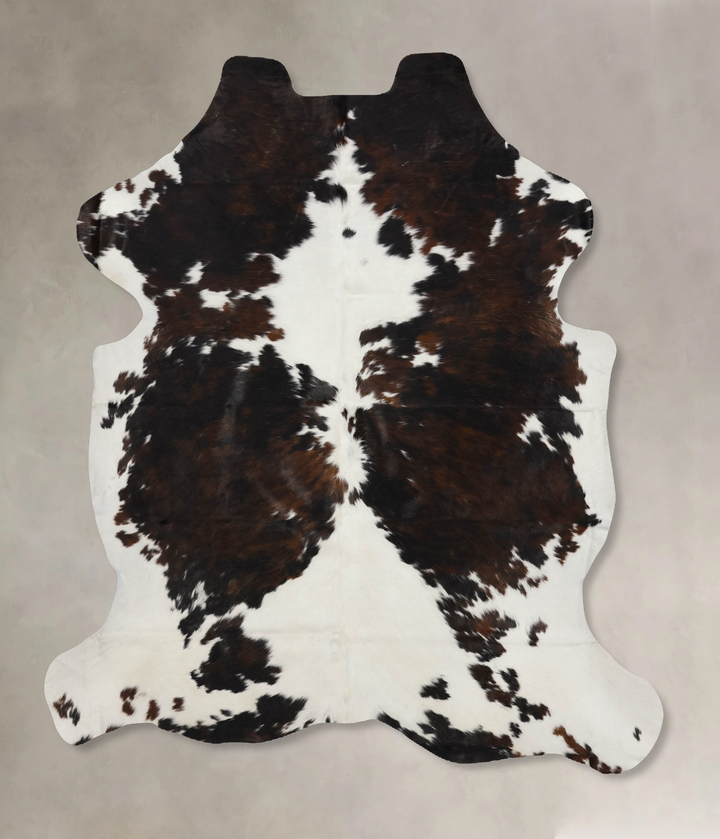 Tricolor X-Large European Cowhide Rug 6'10"H x 5'11"W #B12368 by Hudson Hides