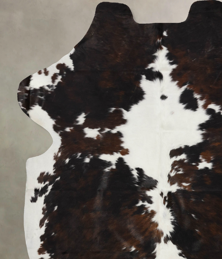 Tricolor X-Large European Cowhide Rug 6'10"H x 5'11"W #B12368 by Hudson Hides