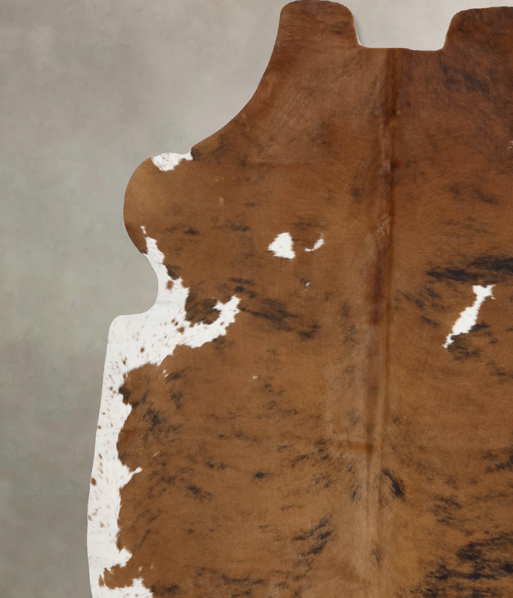 Tricolor X-Large European Cowhide Rug 6'8"H x 6'4"W #B12378 by Hudson Hides