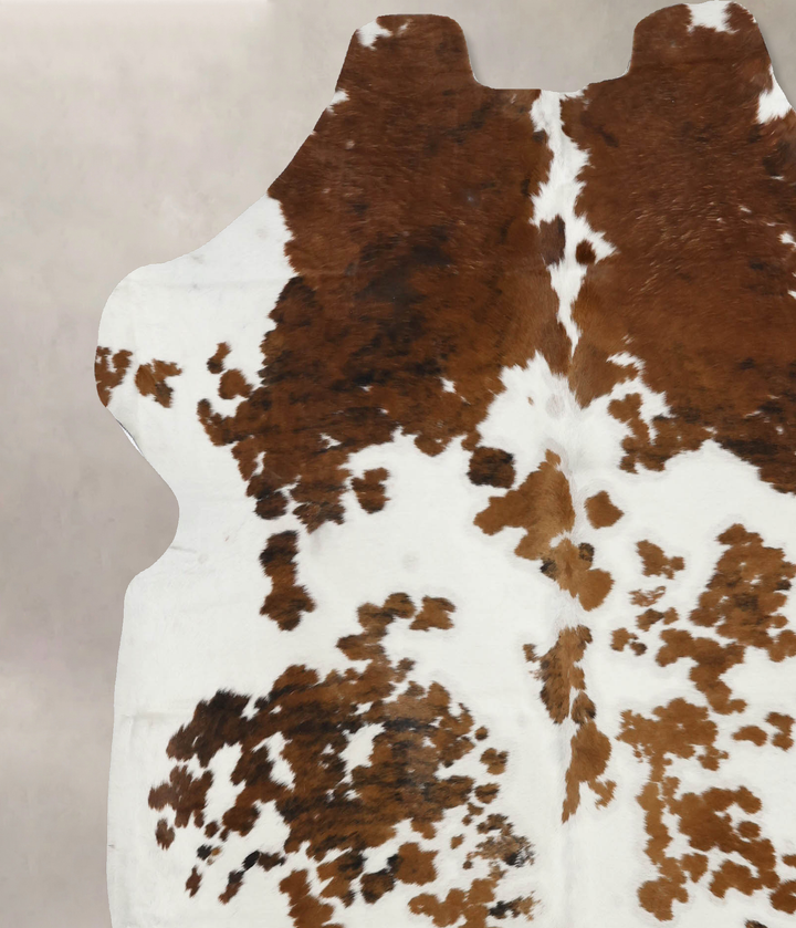 Tricolor X-Large European Cowhide Rug 6'9"H x 6'4"W #B12382 by Hudson Hides