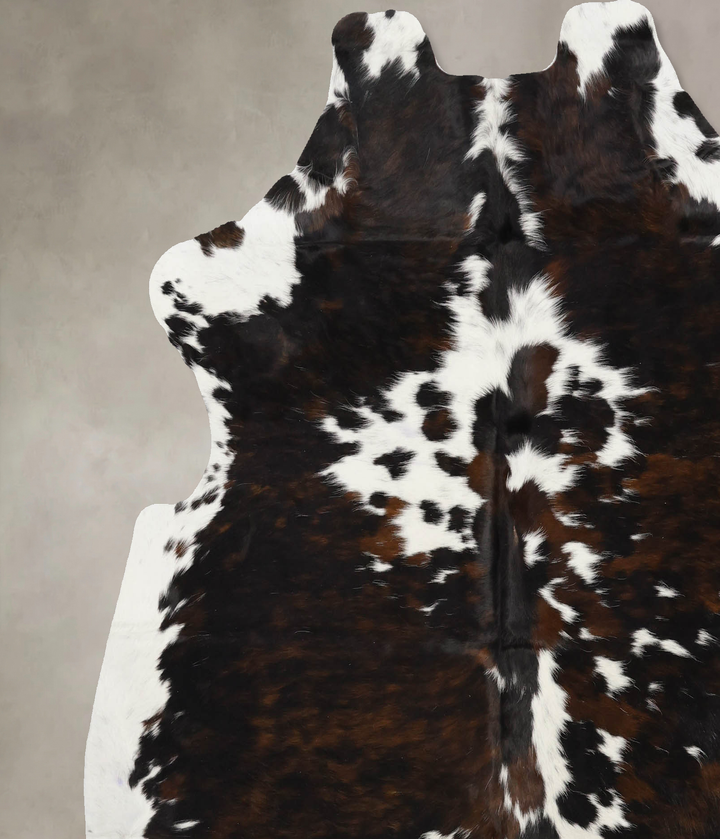 Tricolor X-Large European Cowhide Rug 6'6"H x 6'4"W #B12393 by Hudson Hides