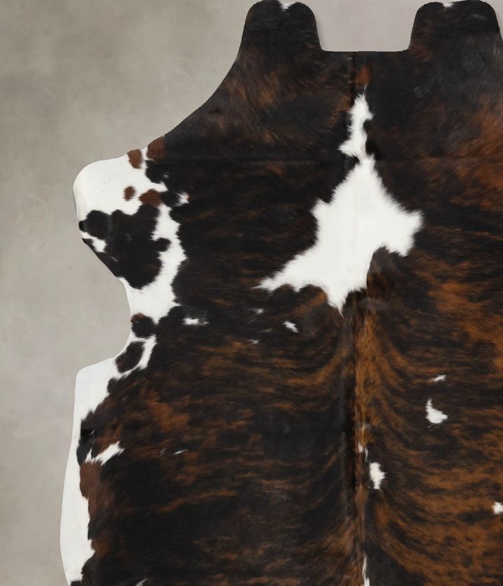 Tricolor X-Large European Cowhide Rug 6'7"H x 6'4"W #B12394 by Hudson Hides