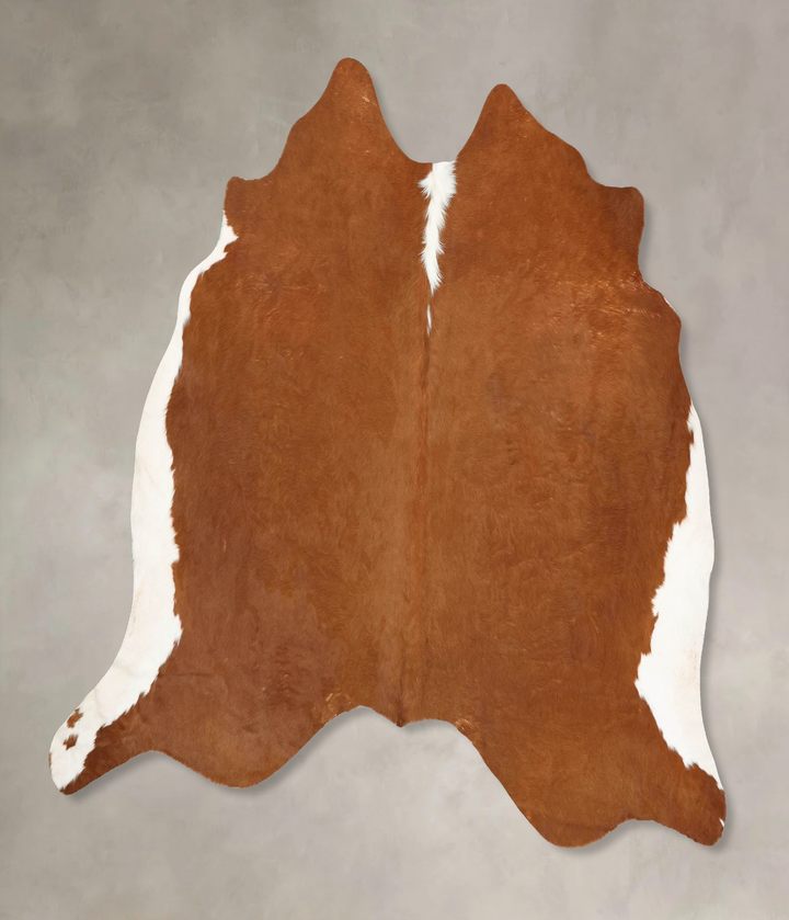 Brown and White Regular X-Large Brazilian Cowhide Rug 6'3"H x 7'1"W #B14086 by Hudson Hides