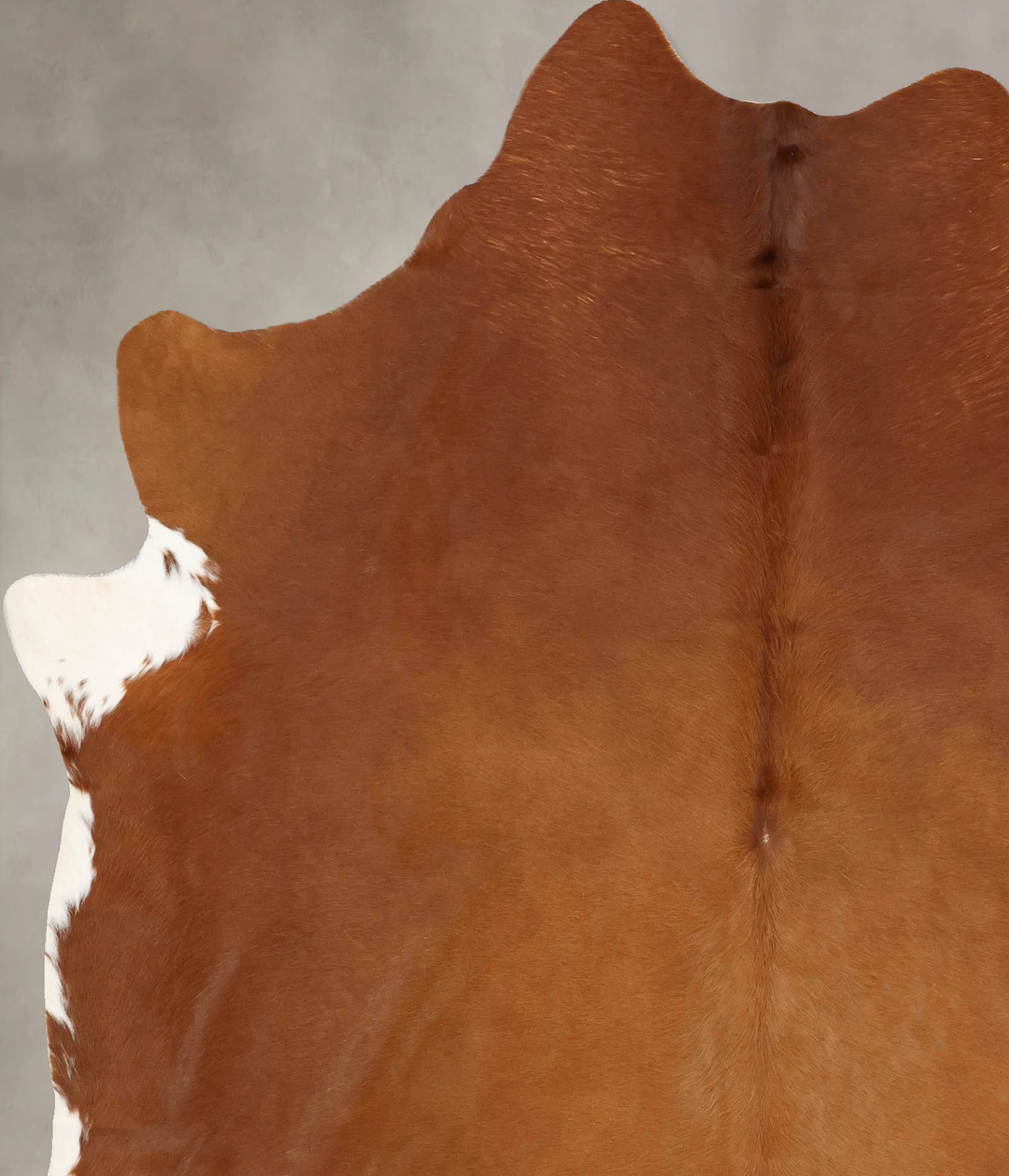 Brown and White Regular X-Large Brazilian Cowhide Rug 7'5"H x 6'1"W #B