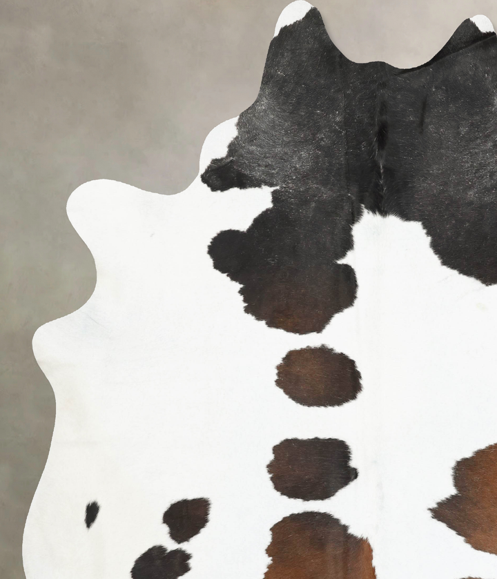 Chocolate and White XX-Large Brazilian Cowhide Rug 9'5"H x 7'5"W #B14893 by Hudson Hides