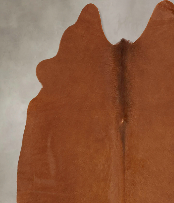 Solid Brown Large Brazilian Cowhide Rug 6'3"H x 5'8"W #B14902 by Hudson Hides
