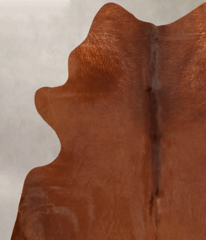 Solid Brown Large Brazilian Cowhide Rug 6'6"H x 6'1"W #B14905 by Hudson Hides