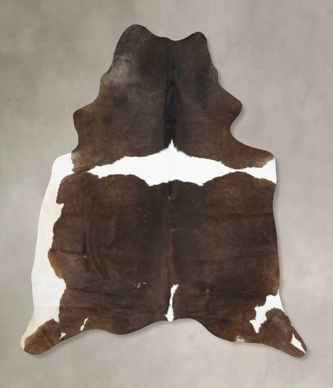 Chocolate and White XX-Large Brazilian Cowhide Rug 8'2"H x 6'4"W #B149