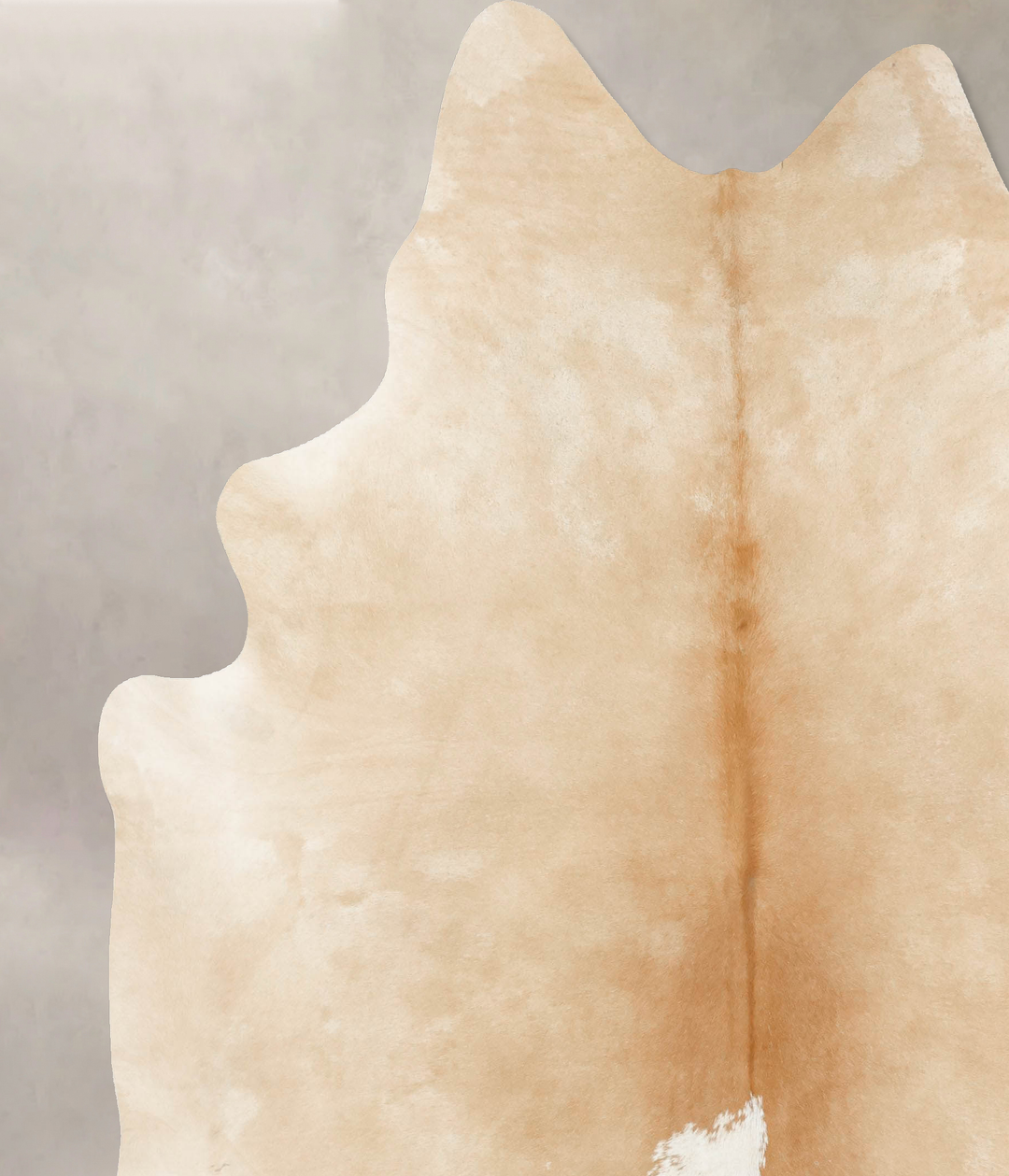 Palomino XX-Large Brazilian Cowhide Rug 8'5"H x 7'2"W #B15006 by Hudso