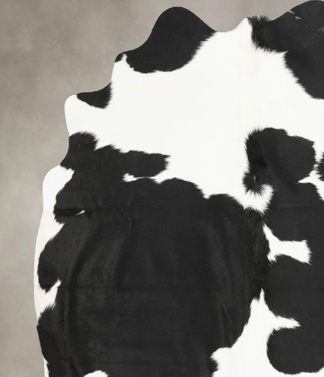 Black and White X-Large Brazilian Cowhide Rug 6'10"H x 6'3"W #B15257 b
