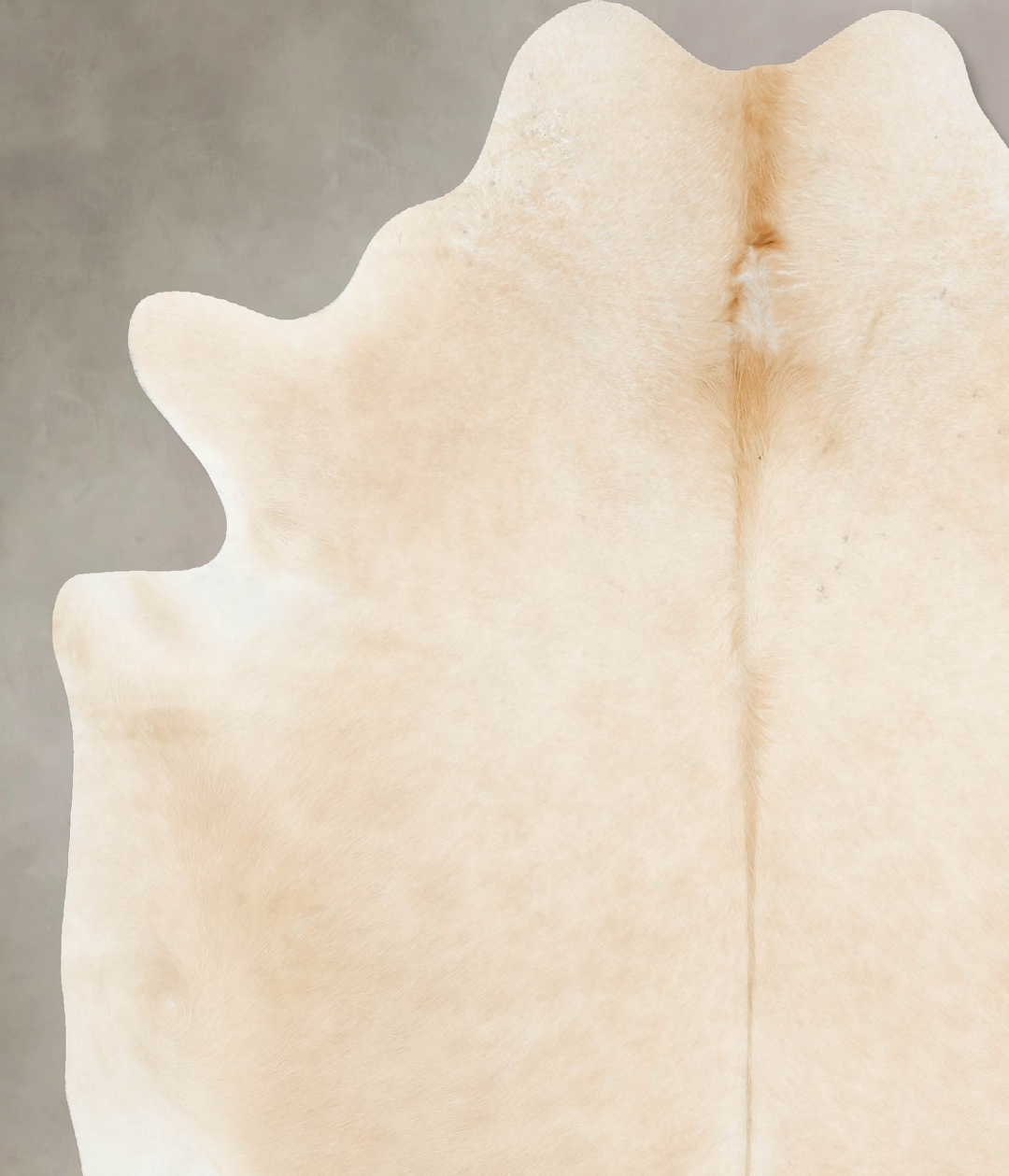 Palomino XX-Large Brazilian Cowhide Rug 7'9"H x 6'10"W #B15302 by Huds