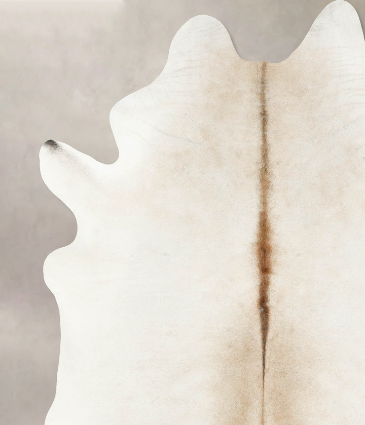 Ivory with Beige XX-Large Brazilian Cowhide Rug 8'8"H x 6'11"W #B15505 by Hudson Hides