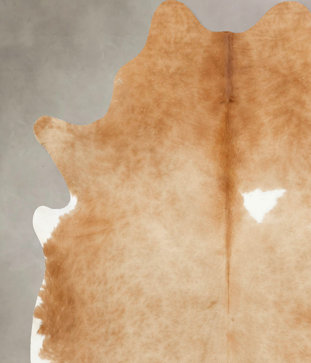 Beige X-Large Brazilian Cowhide Rug 7'4"H x 6'5"W #B15536 by Hudson Hi