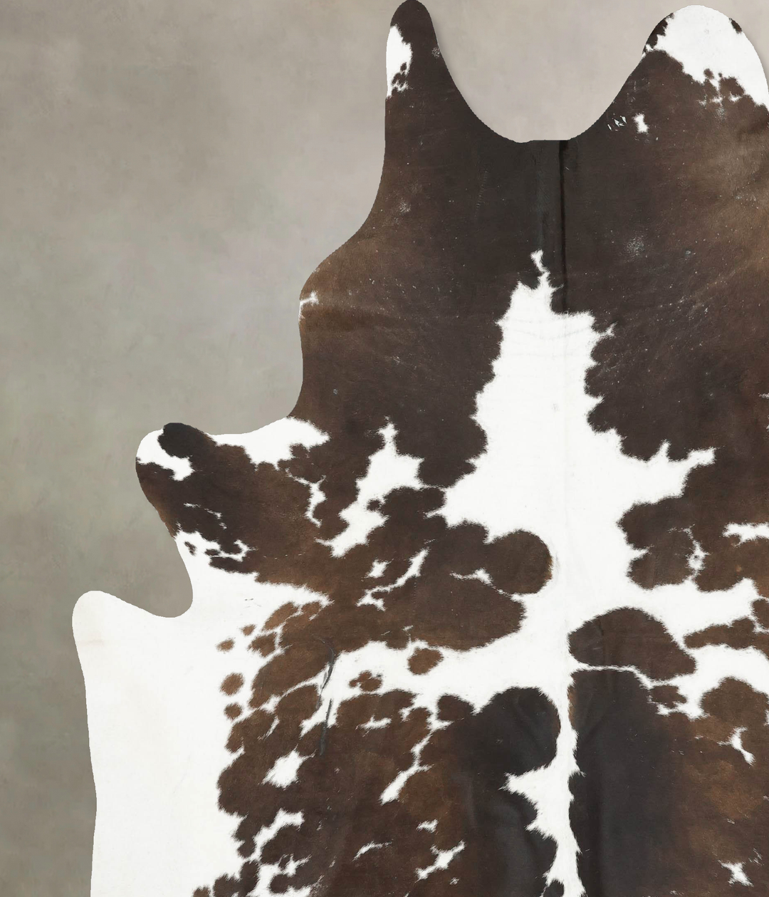 Chocolate and White XX-Large Brazilian Cowhide Rug 8'2"H x 7'4"W #B156