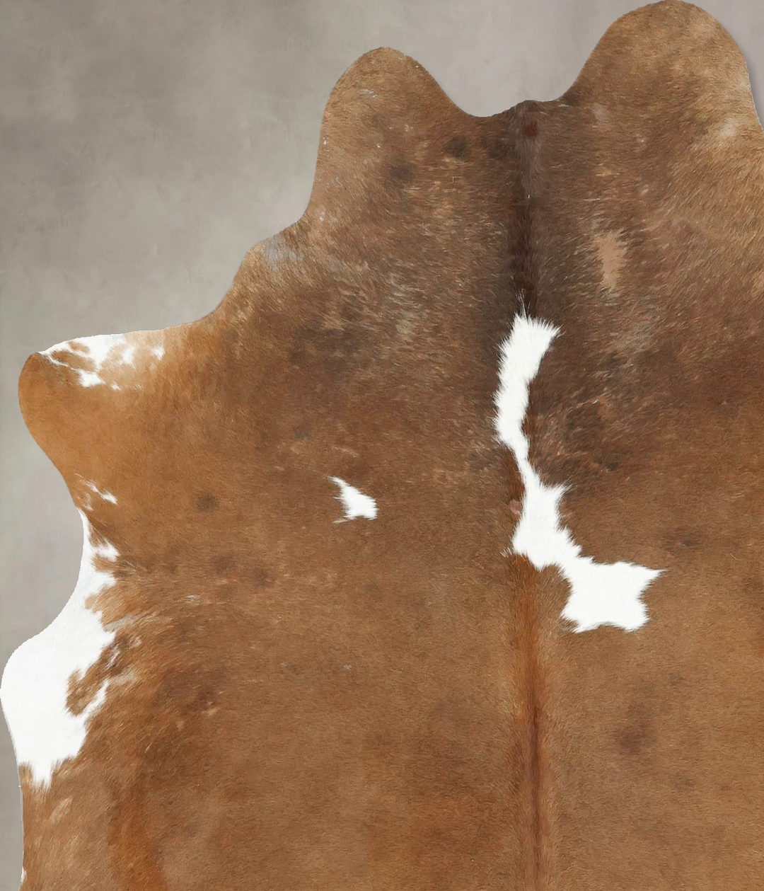 Chocolate and White Large Brazilian Cowhide Rug 5'10"H x 5'5"W #B15717