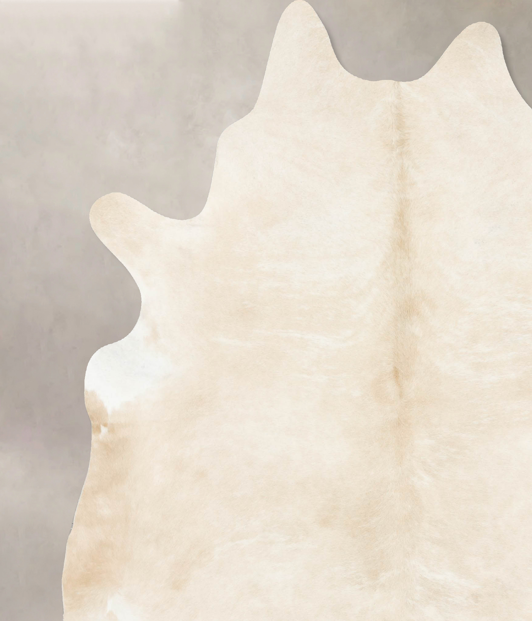 Palomino XX-Large Brazilian Cowhide Rug 8'2"H x 6'10"W #B15750 by Huds