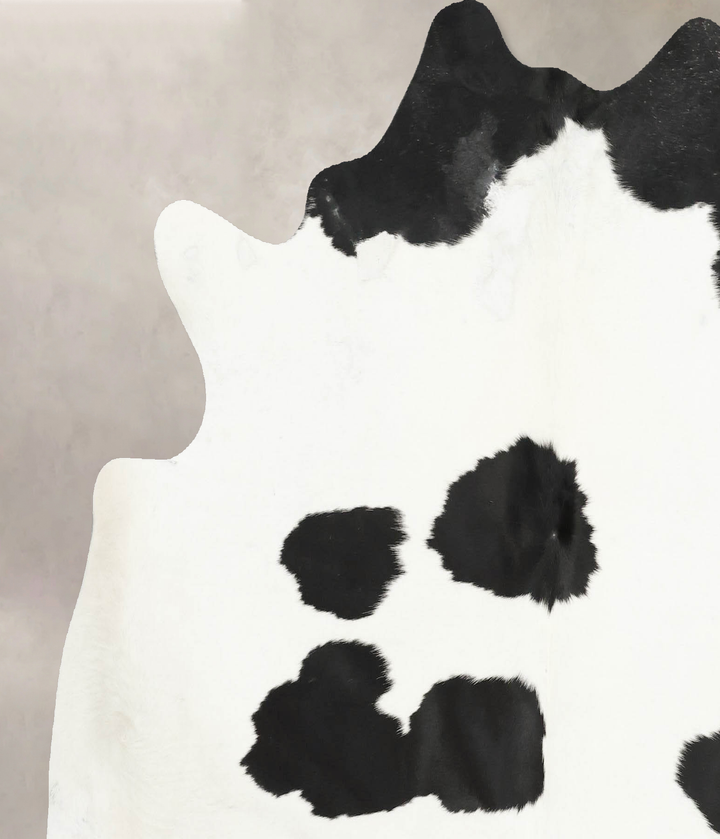 Black and White Large Brazilian Cowhide Rug 6'0"H x 6'1"W #B15816 by Hudson Hides
