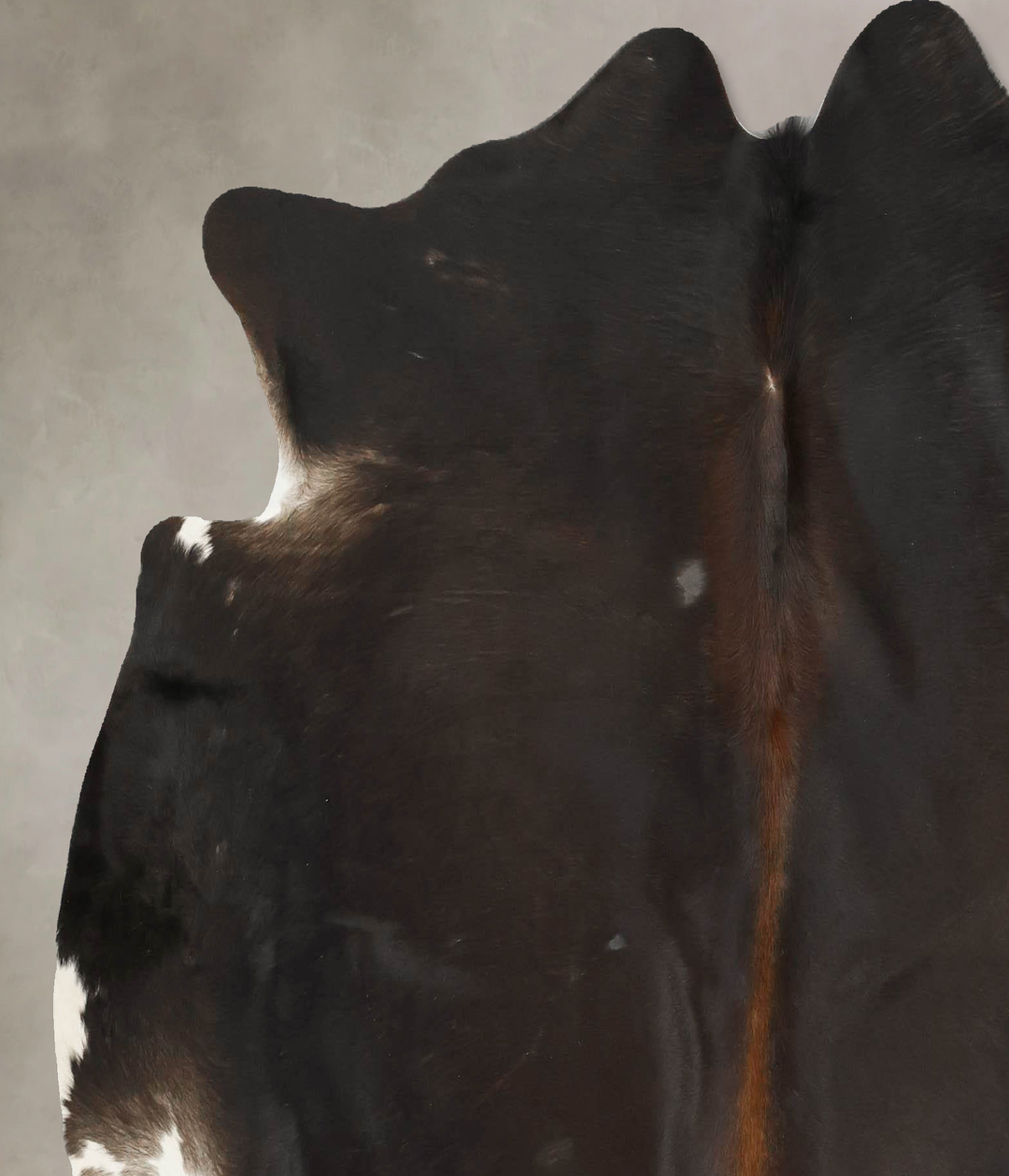 Chocolate Large Brazilian Cowhide Rug 6'1"H x 6'1"W #B15817 by Hudson