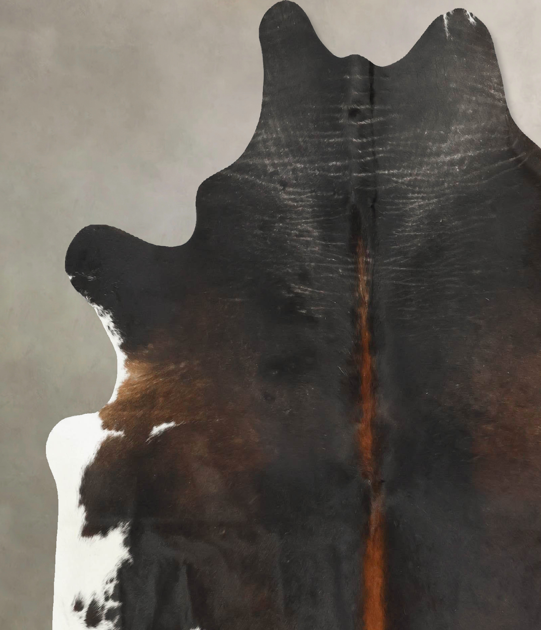 Chocolate and White X-Large Brazilian Cowhide Rug 7'0"H x 6'4"W #B1582