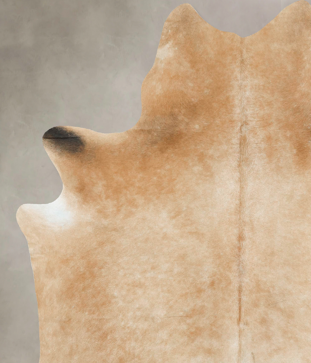 Palomino X-Large Brazilian Cowhide Rug 7'5"H x 5'11"W #B16133 by Hudso