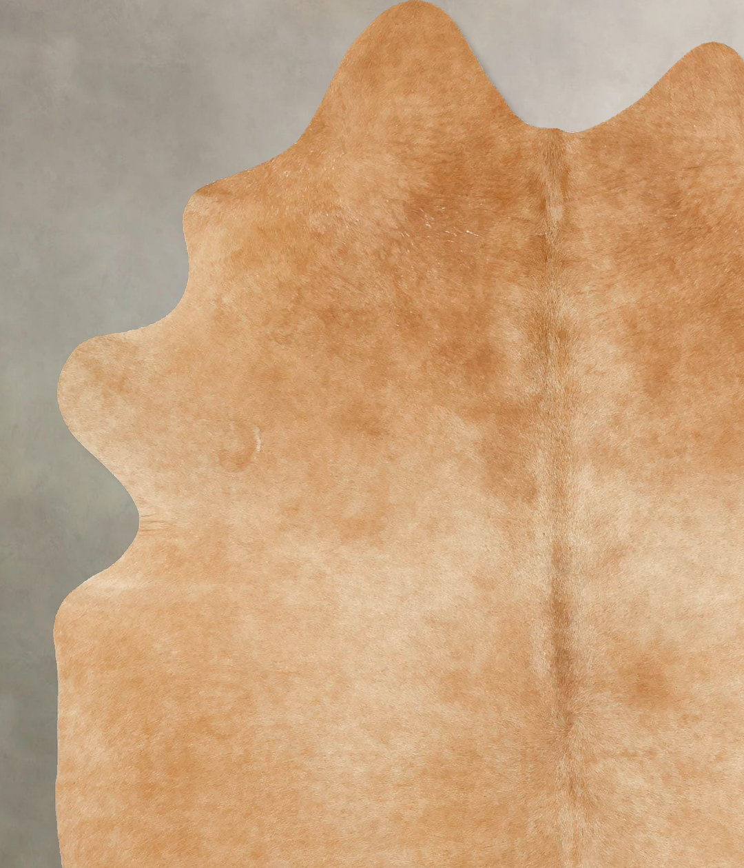 Beige Large Brazilian Cowhide Rug 6'11"H x 5'3"W #B16620 by Hudson Hid