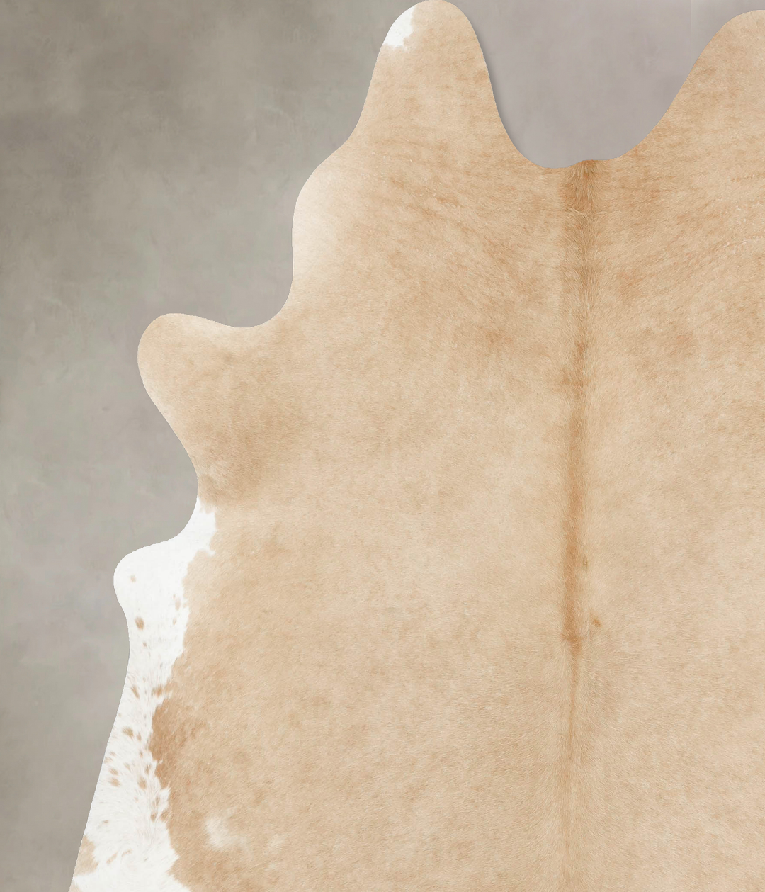 Palomino XX-Large Brazilian Cowhide Rug 8'6"H x 7'0"W #B16683 by Hudso