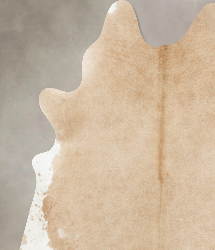 Palomino XX-Large Brazilian Cowhide Rug 8'6"H x 7'0"W #B16683 by Hudson Hides