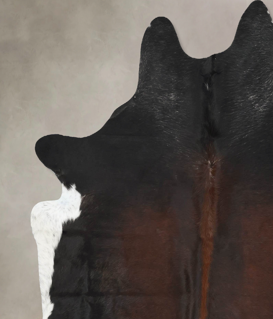 Chocolate and White X-Large Brazilian Cowhide Rug 7'2"H x 6'3"W #B1671