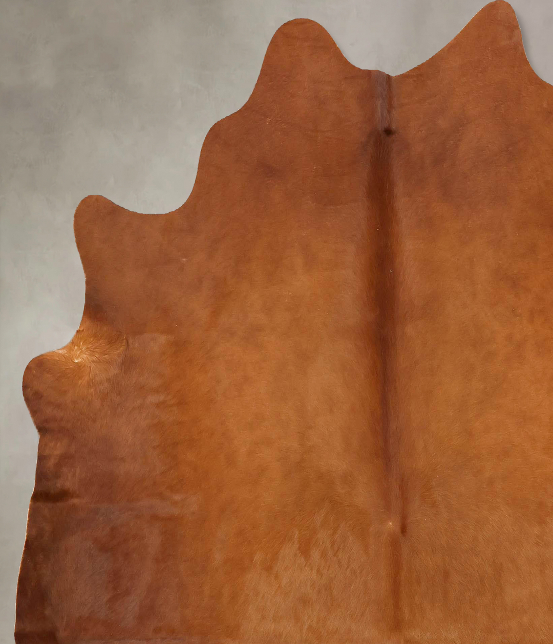 Solid Brown X-Large Brazilian Cowhide Rug 6'5"H x 6'5"W #B16774 by Hud