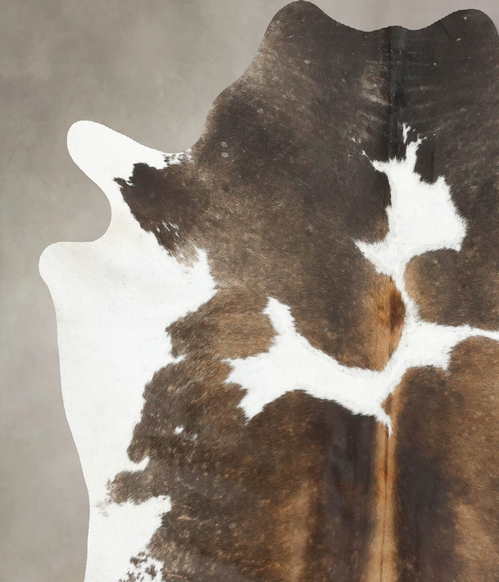 Grey with Beige Large Brazilian Cowhide Rug 6'8"H x 5'11"W #B16929 by Hudson Hides