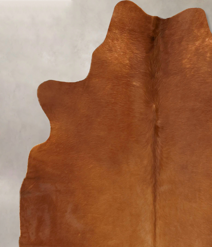 Solid Brown X-Large Brazilian Cowhide Rug 7'0"H x 6'2"W #B17145 by Hudson Hides