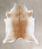 Light Caramel XX-Large Brazilian Cowhide Rug 8'0