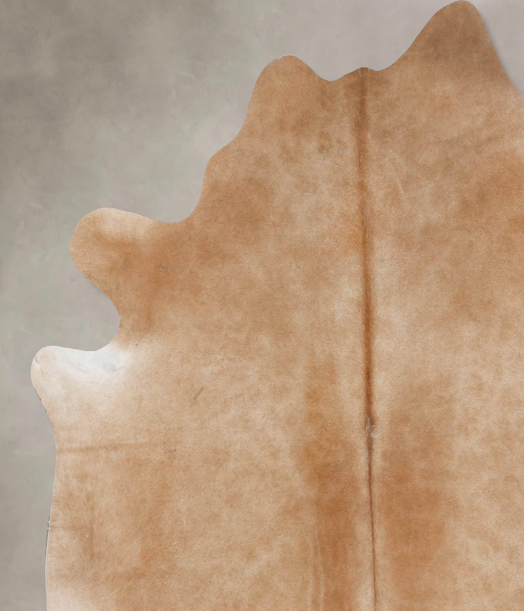 Beige XX-Large Brazilian Cowhide Rug 7'11"H x 7'5"W #B17476 by Hudson