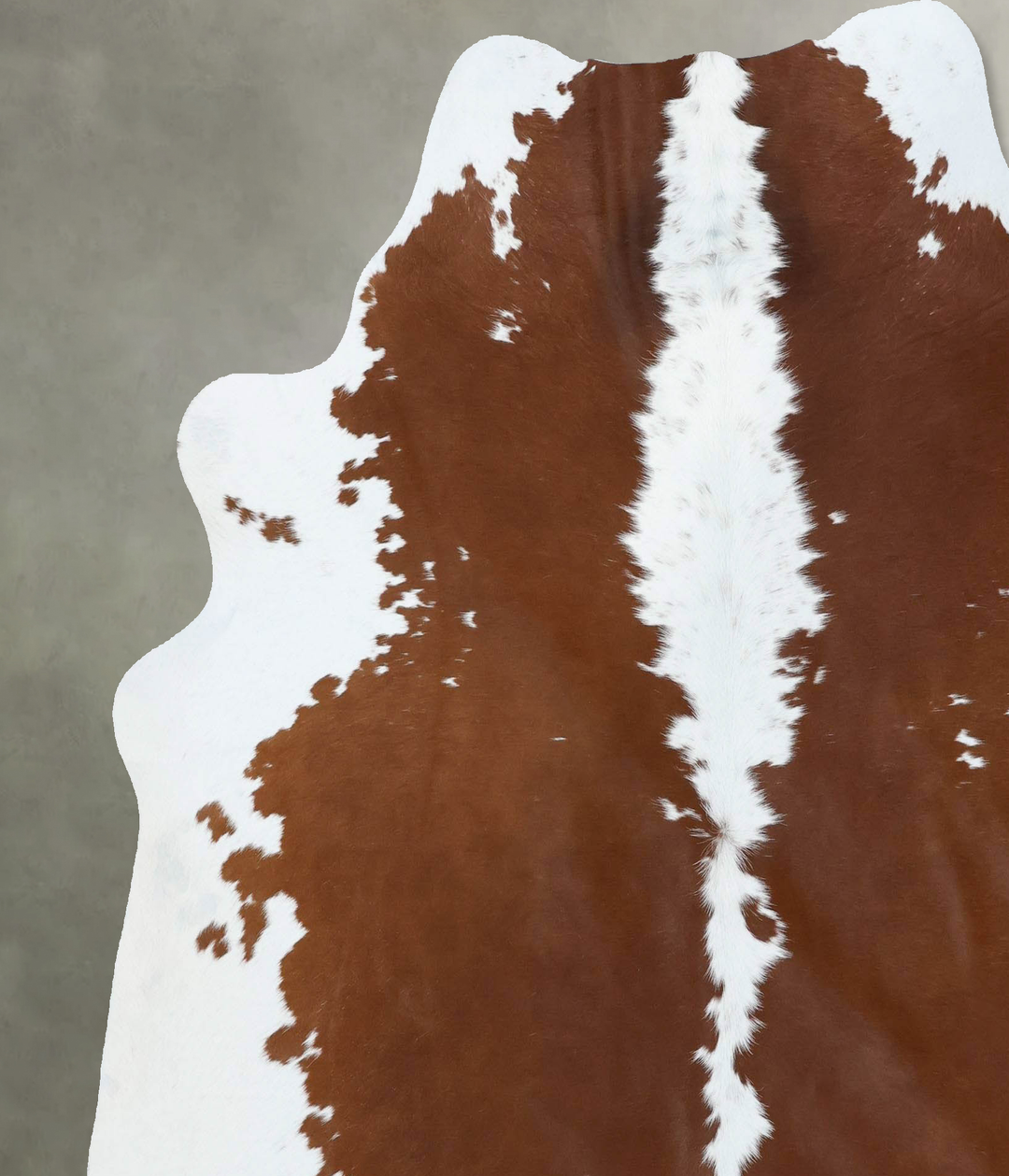 Brown and White Regular X-Large Brazilian Cowhide Rug 7'0"H x 6'5"W #B