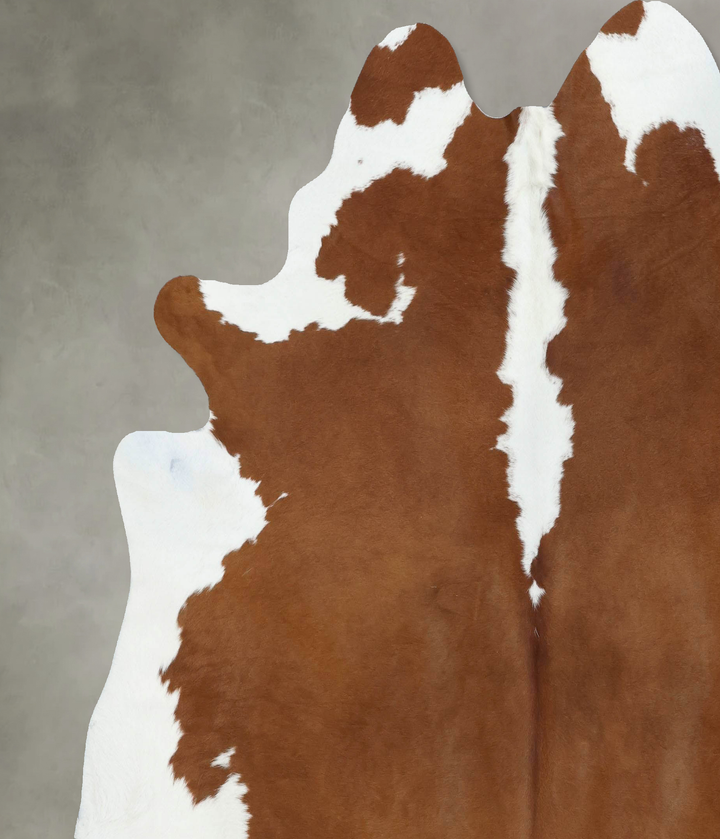 Brown and White Regular XX-Large Brazilian Cowhide Rug 7'11"H x 7'3"W #B18031 by Hudson Hides