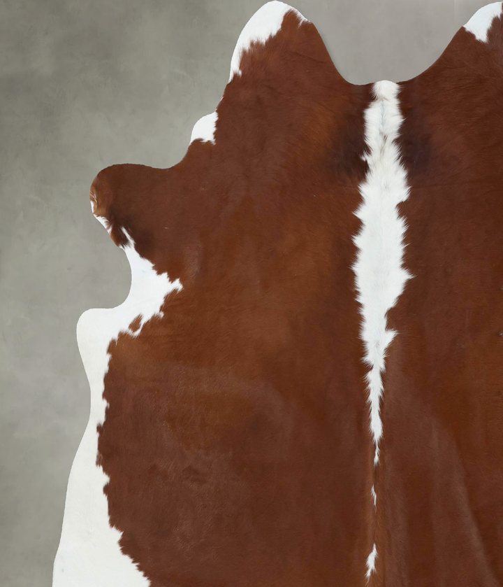Brown and White Regular XX-Large Brazilian Cowhide Rug 7'4"H x 7'1"W #B18038 by Hudson Hides