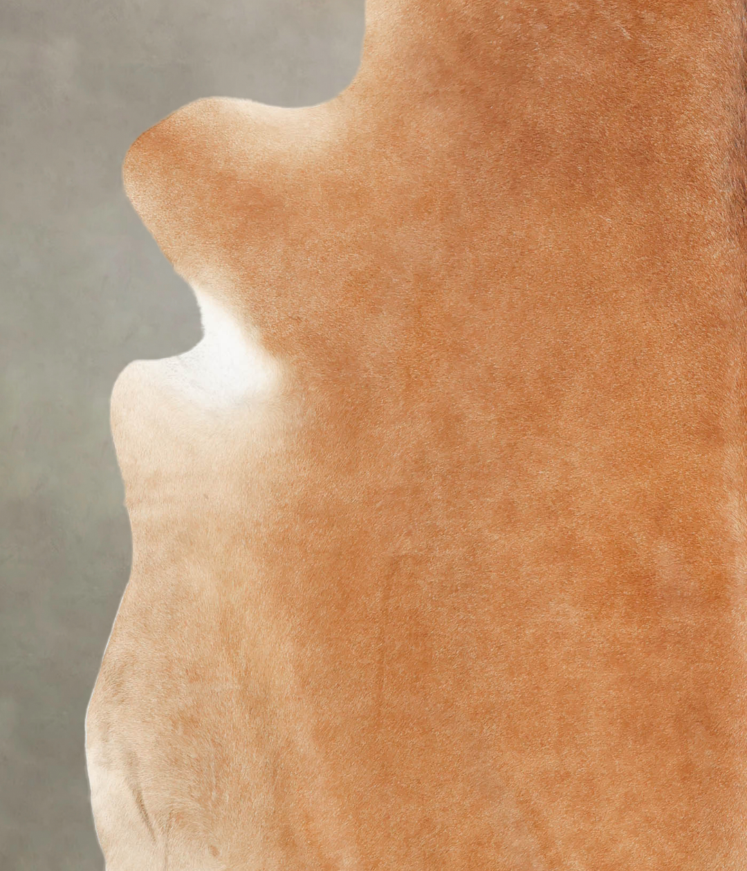 Solid Brown XX-Large Brazilian Cowhide Rug 7'9"H x 7'3"W #B1805 by Hud
