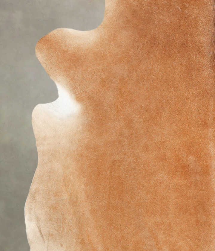 Solid Brown XX-Large Brazilian Cowhide Rug 7'9"H x 7'3"W #B1805 by Hudson Hides
