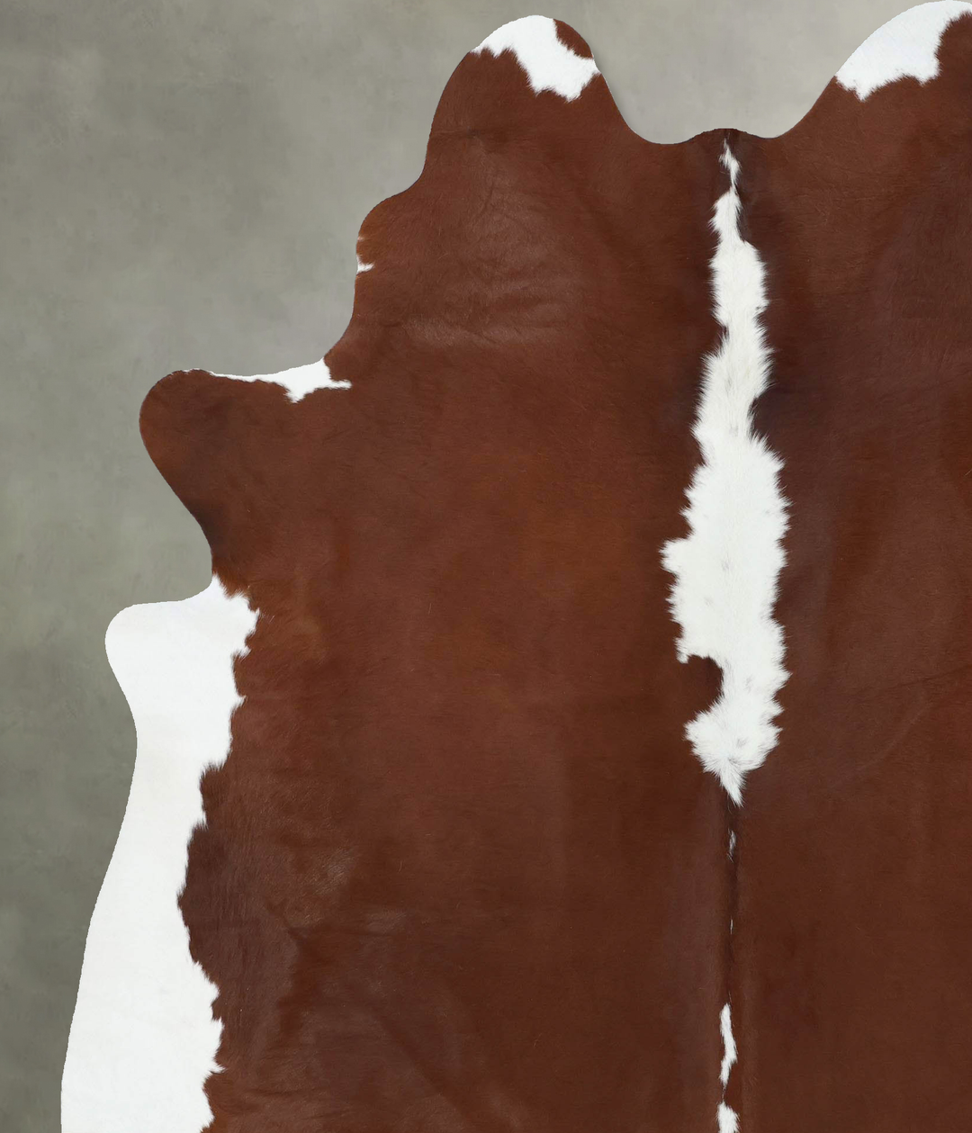 Brown and White Regular XX-Large Brazilian Cowhide Rug 8'4"H x 6'6"W #