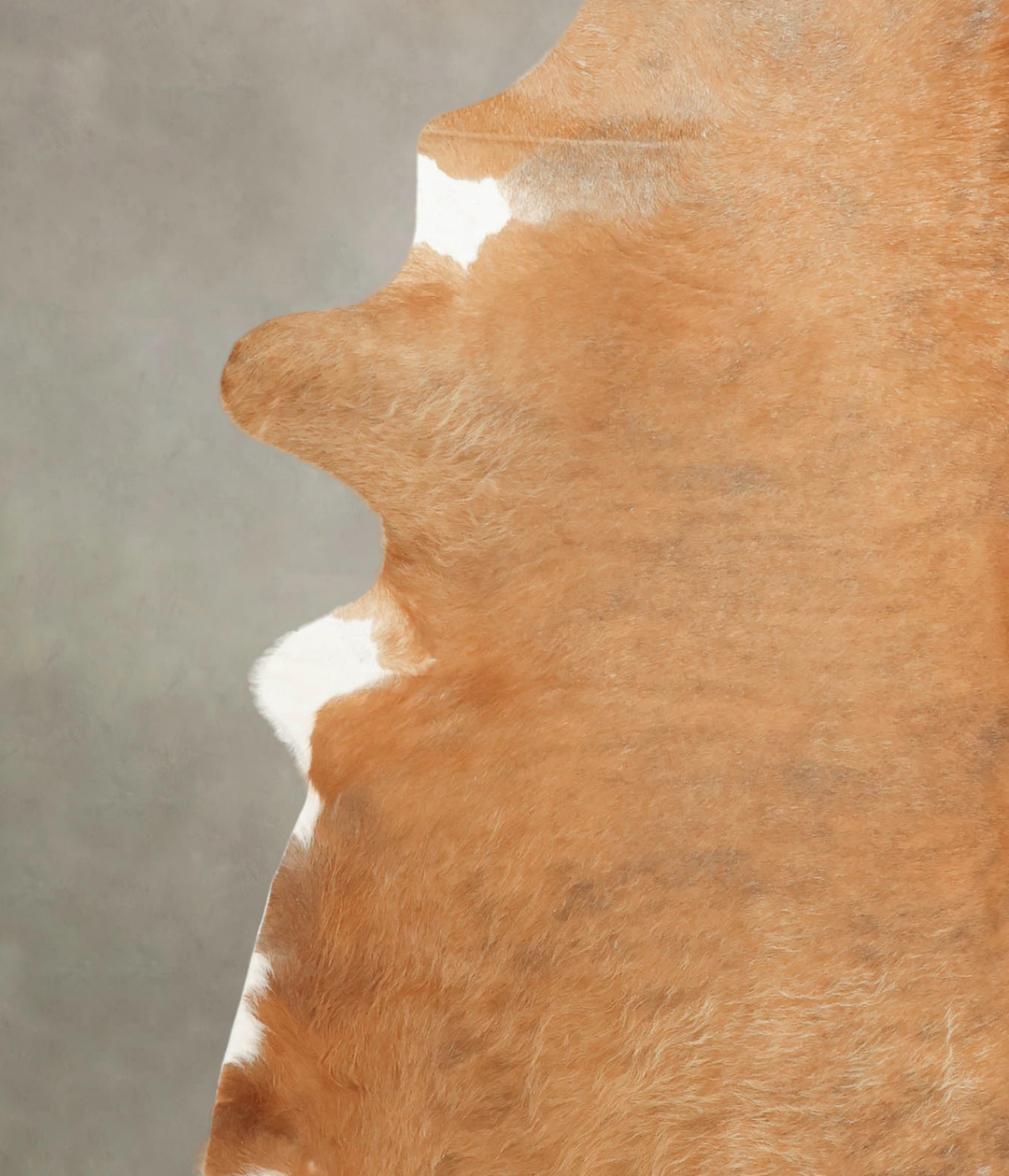 Brown and White Regular XX-Large Brazilian Cowhide Rug 7'10"H x 6'11"W