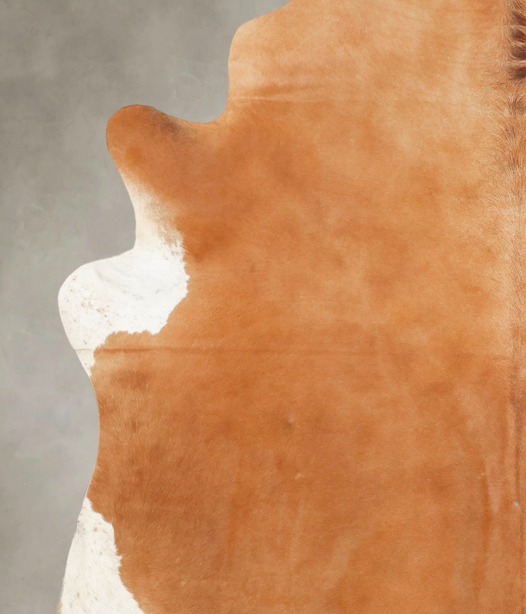 Brown and White Regular XX-Large Brazilian Cowhide Rug 8'0"H x 7'4"W #