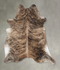 Light Brindle X-Large Brazilian Cowhide Rug 7'0