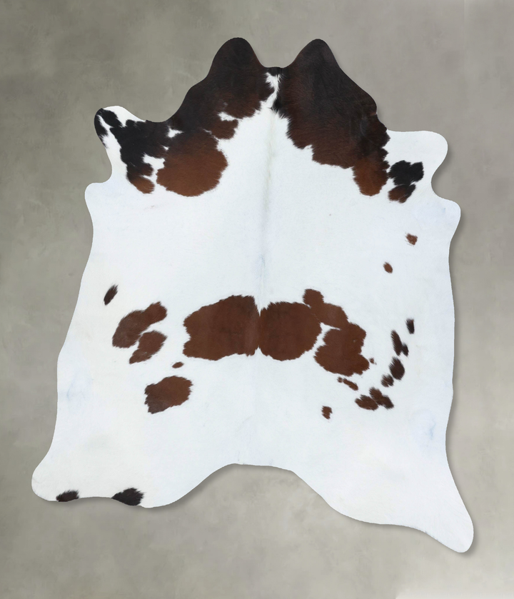 Brown and White X-Large Brazilian Cowhide Rug 6'10"H x 6'2"W #B18504 by Hudson Hides