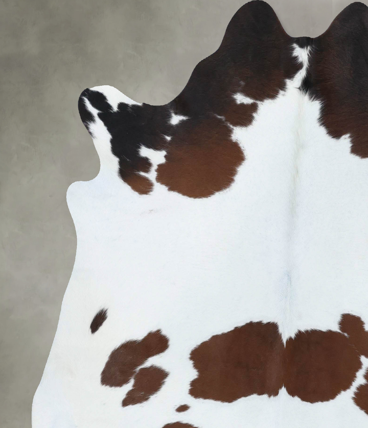 Brown and White X-Large Brazilian Cowhide Rug 6'10"H x 6'2"W #B18504 by Hudson Hides