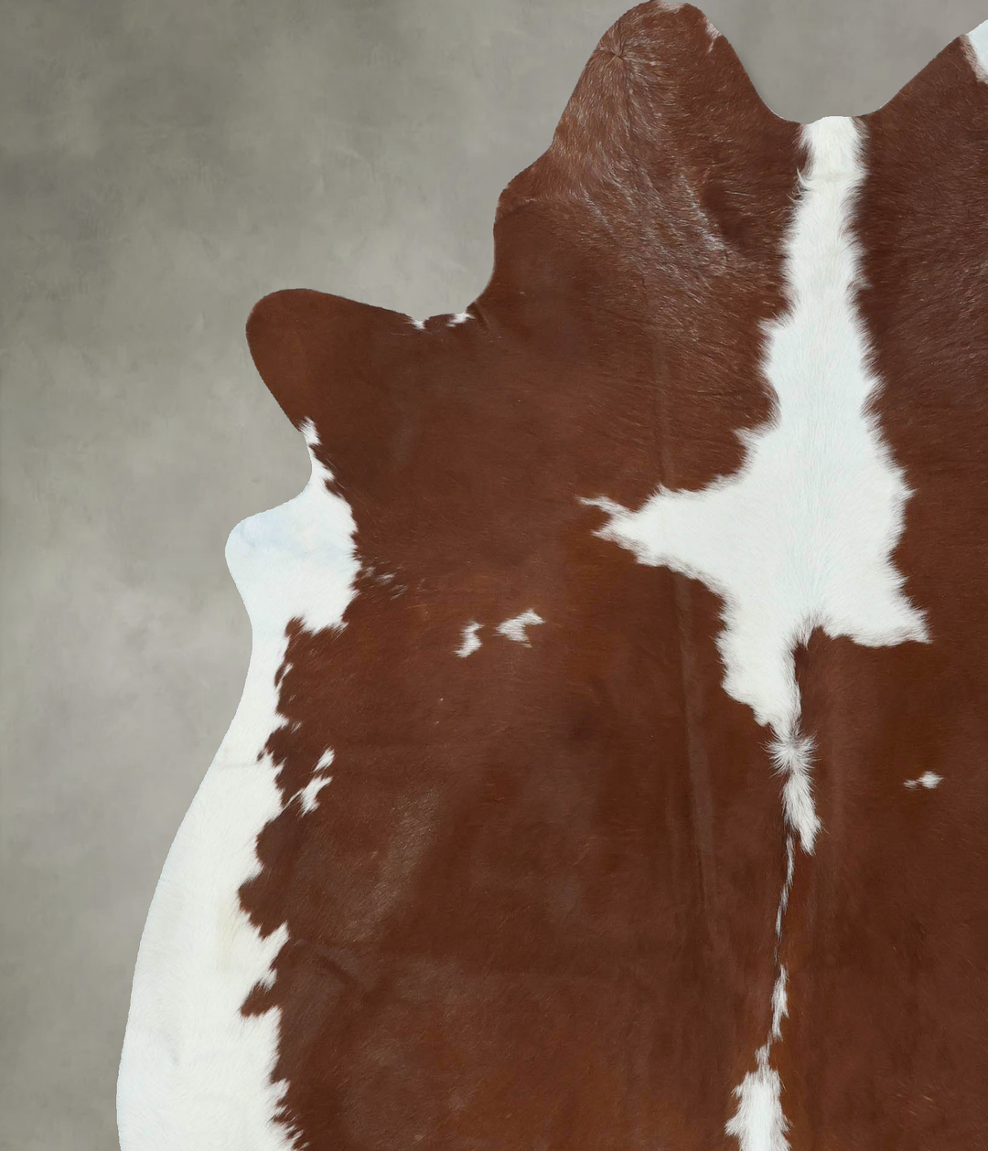 Brown and White X-Large Brazilian Cowhide Rug 7'9"H x 6'4"W #B18622 by