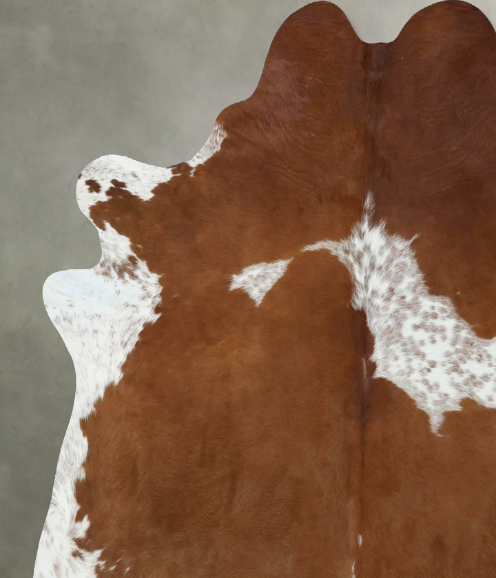 Brown and White XX-Large Brazilian Cowhide Rug 7'9"H x 6'7"W #B18628 by Hudson Hides